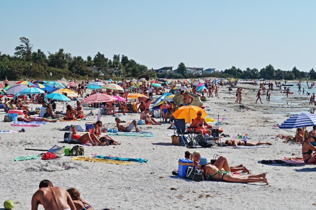 Ferienwohnung Direkt Am Strand In Makkum Exteriör bild